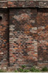 Photo Textures of Wall Bricks